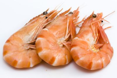 Background photo of three fresh isolated shrimps
